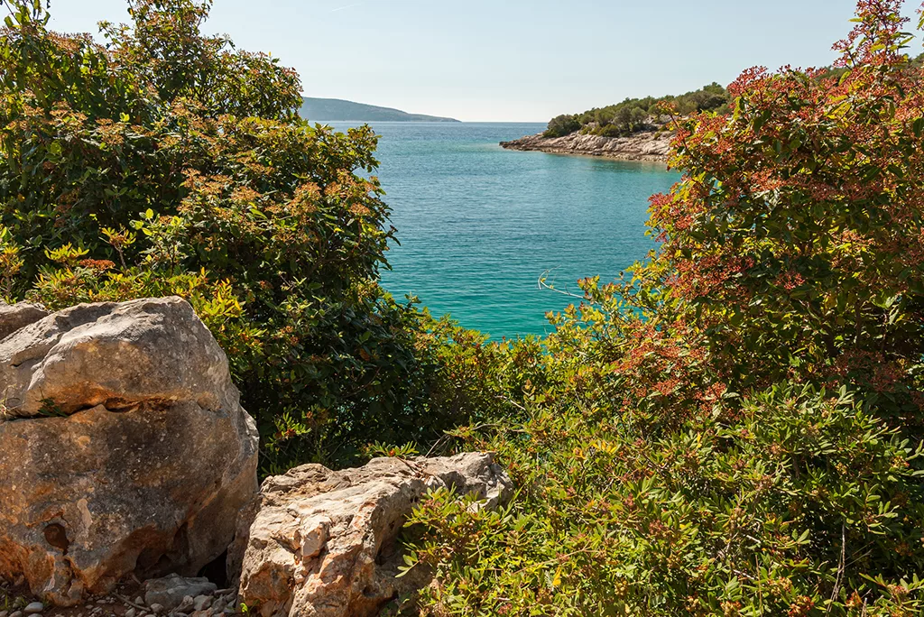 Cres - Dalmatia - Croatia