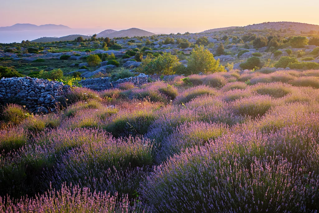 The most scenic spots in Croatia